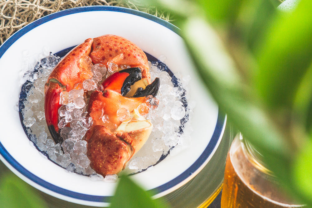 Two stone crab claws in a blue and white bowl of ice