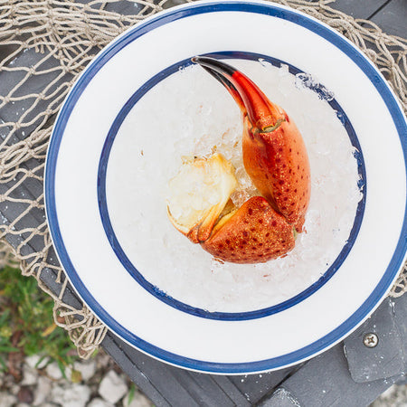 A single cooked crab claw served on a bed of crushed ice in a white bowl with a blue rim, placed on a rustic surface with a fishing net