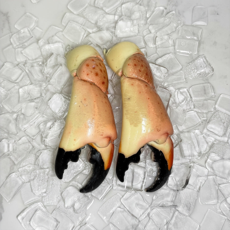 Image of Colossal Stone Crab Claws - Colossal_front_view