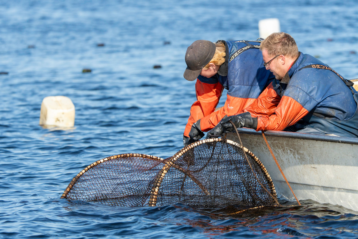 Two fishermen in blue and orange waterproof suits are in a small boat, handling a large circular fishing net on the blue water of a sea or lake.