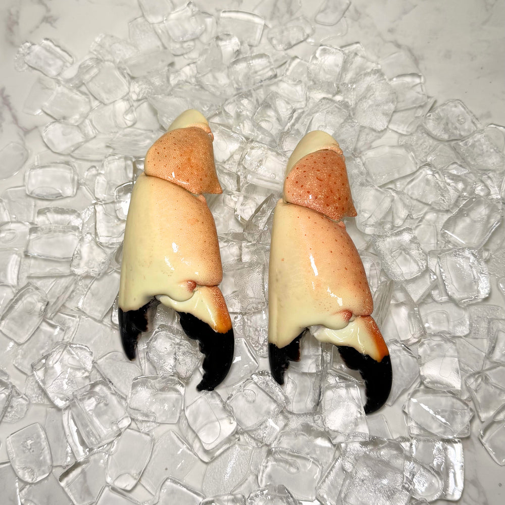 Image of Jumbo Stone Crab Claws - Jumbo stone crab claws over ice