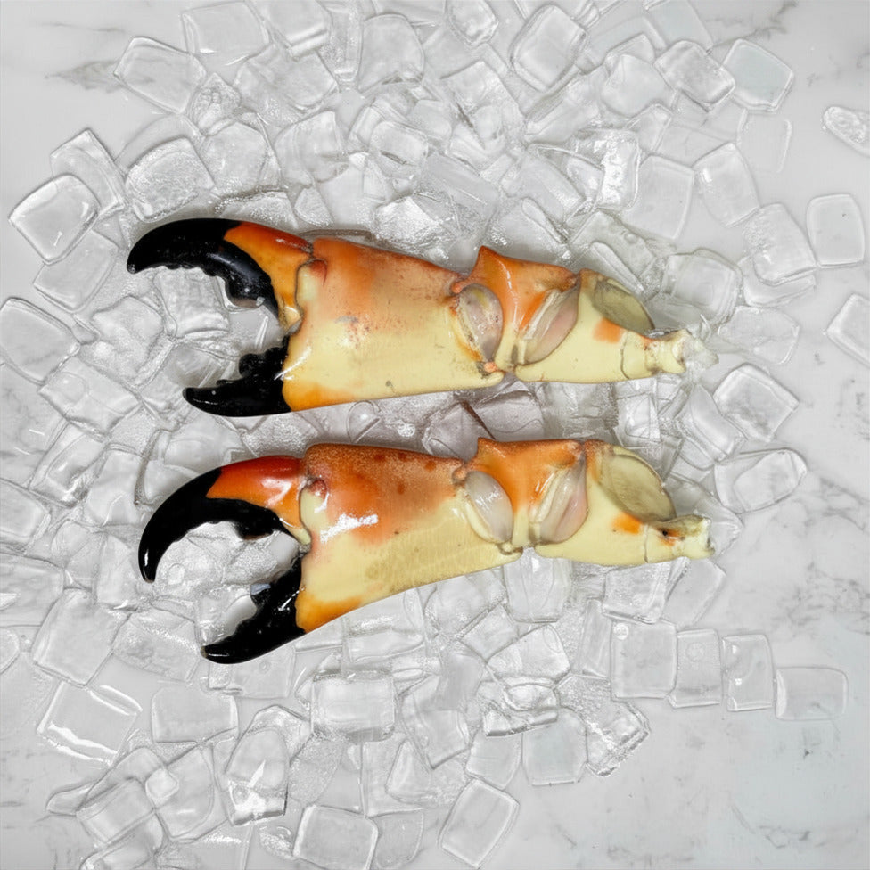 Image of Jumbo Stone Crab Claws - Jumbo stone crab claw back view