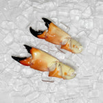 Large stone crab claw back view