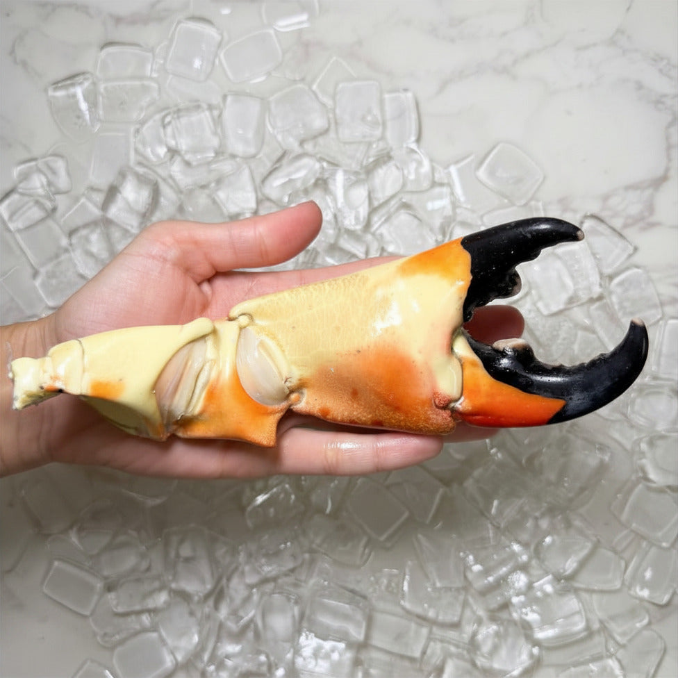 Image of Colossal Stone Crab Claws - colossal_hand