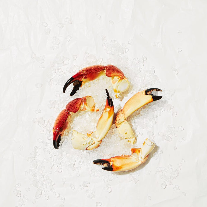 Image for Large Stone Crab Claws