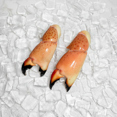 Image for Large Stone Crab Claws