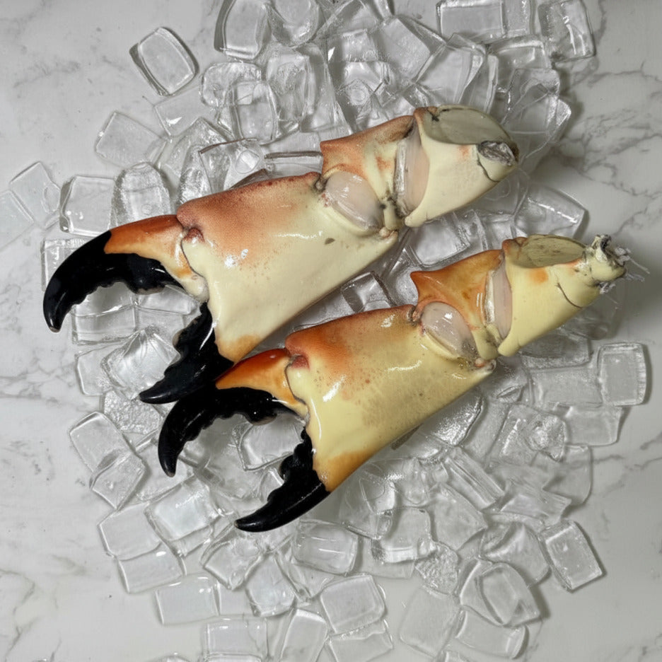 Image of Mega Colossal Stone Crab Claws - mega colossal back view
