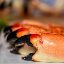 Load image into Gallery viewer, Jumbo Stone Crab Claws
